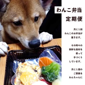 【定期便6回】わんこのお弁当セット Lサイズ
