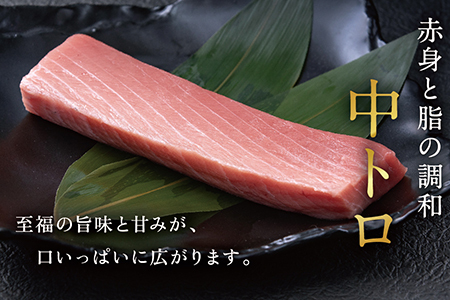 【冷蔵】絶品！生本マグロ　中トロ 220g（柵どり）