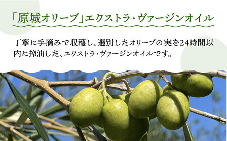 【3回定期便】原城オリーブ エクストラヴァージン オイル 100ml 2本 / 調味料 油 オリーブオイル オリーブ / 南島原市 / ミナサポ [SCW050]