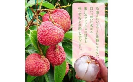＜宮崎県産ライチ1kg＞【c071_mk_x6】