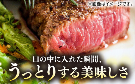【お中元】【30日間バター熟成】壱岐牛 A5ランク 希少部位 赤身ステーキ 200g×2枚（雌）部位おまかせ《壱岐市》【KRAZY MEAT】[JER053] 冷凍配送 黒毛和牛 A5ランク ステーキ 赤身 希少部位 牛肉 肉 焼肉 A5 35000 35000円 焼肉用 九州