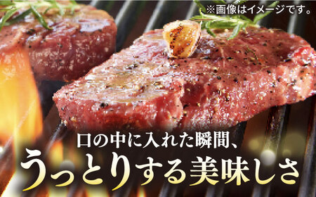 【お中元】極上 壱岐牛 A5ランク ステーキセット（ヒレ200g・サーロイン350g）雌《 壱岐市 》【 KRAZY MEAT 】 [JER056] のし ギフト