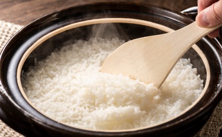 北海道 イエスクリーン米 令和7年産 ななつぼし 10kg 精米 米 白米 お米  ごはん ご飯 ライス 道産米 ブランド米 新しのつ米 ふっくら 食味ランキング  産地直送 カワサキ森田屋 送料無料