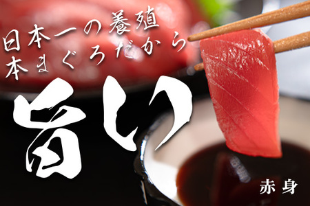 マグロ まぐろ 本マグロ 刺身 赤身 150g 養殖 本まぐろ さしみ 刺し身 ネギトロ ねぎとろ 漬け丼 海鮮丼 まぐろたたき 海鮮セット 柵 年末 年始 正月 高知県 大月町