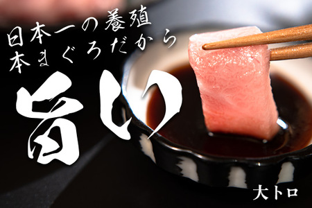 マグロ まぐろ 本マグロ 刺身 大トロ 150g 養殖 本まぐろ さしみ 刺し身 ネギトロ ねぎとろ 漬け丼 海鮮丼 まぐろたたき 海鮮セット 柵 年末 年始 正月 高知県 大月町