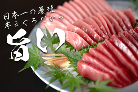 マグロ まぐろ 本マグロ 刺身 赤身 中トロ 大トロ 3種 450g 養殖 本まぐろ さしみ 刺し身 ネギトロ ねぎとろ 漬け丼 海鮮丼 まぐろたたき 海鮮セット 柵 年末 年始 正月 高知県 大月町