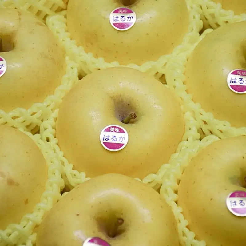 No.2615 りんご「はるか」約2kg【2026年度発送】