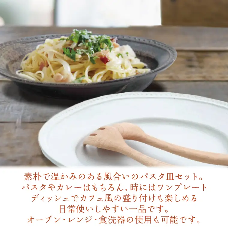 益子焼 パスタ皿セット 益子町 AH001