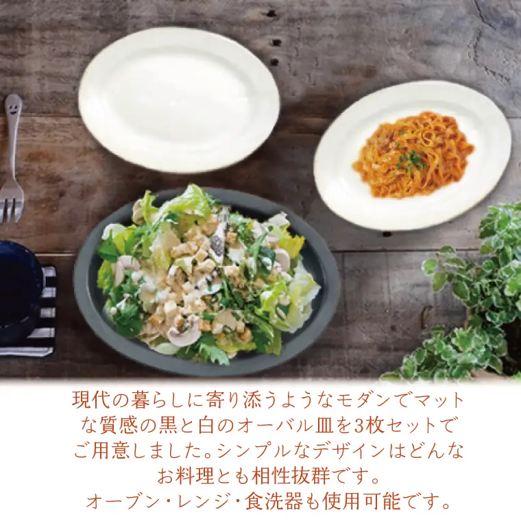 益子焼 オーバル皿 セット 益子町 AH002