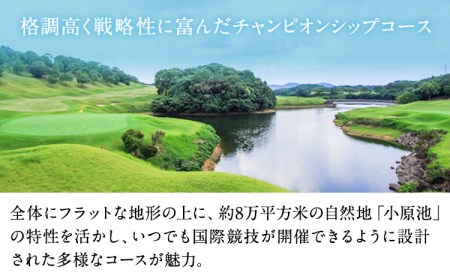 ミッションバレーゴルフクラブ ゴルフ場割引券 3000円分 株式会社アーマット福岡 《30日以内に出荷予定(土日祝除く)》