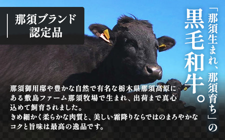 那須高原 敷島和牛特上切落し 1kg（500g×2）国産 黒毛和牛 切り落とし 国産牛 和牛 牛肉 お肉 肉 切り落し 小分け 冷凍 栃木県 那須町《敷島ファーム》〔C-57〕※着日指定不可 　※北海道・沖縄・離島への配送不可
