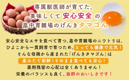 畠中育雛場のげんきタマゴん 80個 《30日以内に出荷予定(土日祝除く)》福岡県   卵  有限会社畠中育雛場