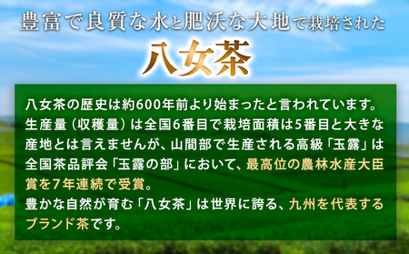 八女上級煎茶 2箱 約100g×4袋 福岡県  《30日以内に出荷予定(土日祝除く)》 