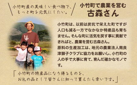 令和7年産 特別栽培米 獅子米（品種：夢つくし） 精米 4kg(2kg×2袋) 白米 精米 株式会社コモリファーム《30日以内に出荷予定(土日祝除く)》