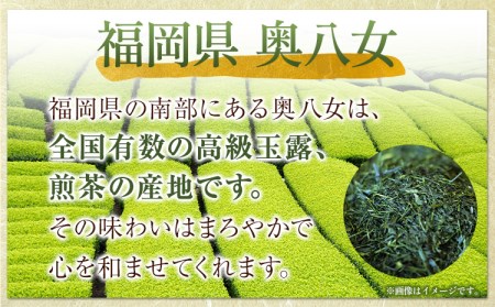 芳友園のかぶせ茶・煎茶詰合せB 各150g×1缶 合計300g 株式会社木屋芳友園《30日以内に出荷予定(土日祝除く)》 緑茶 日本茶 お茶 茶 煎茶 かぶせ茶 八女茶 福岡県   