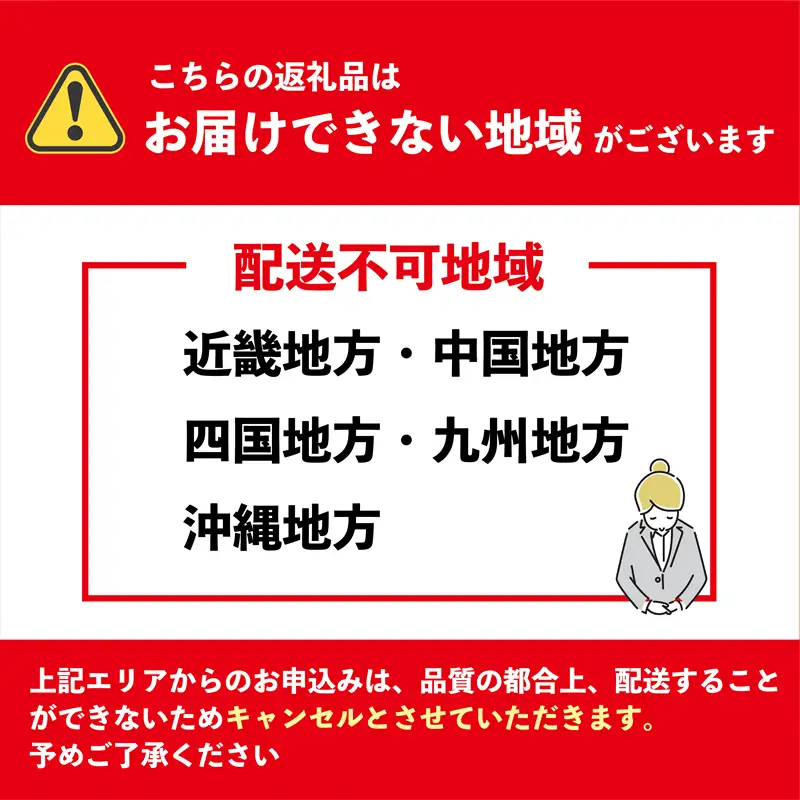 ＜シマエビ(冷蔵)　1kg＞甘く濃厚な味わい！ 北海道 道産 国産 乙部町産 しまえび 海老 日本海 天然 魚介類 新鮮 希少 お刺身 エビチリ 漁師直送 産地直送 送料無料