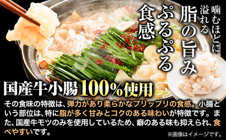 もつ鍋 国産 博多牛もつ鍋10人前 (醤油味) 《60日以内に出荷予定(土日祝除く)》もつ 牛もつ もつ鍋 醤油 博多 鍋 送料無料