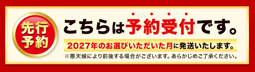 あまおう いちご  1620g あまおう いちご