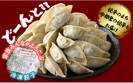 宇都宮餃子 運気アップ餃子  5種類味比べ(合計90個)【 餃子 食べ比べセット 冷凍餃子 冷凍食品 惣菜 栃木県 宇都宮市 】※配送不可地域：離島