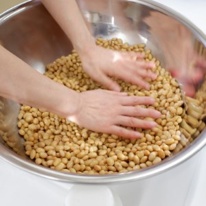 手作り味噌教室体験ペアチケット