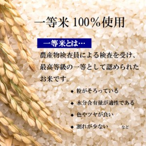 【令和7年産】栃木県産とちぎの星 （精米）5kg×2袋 ｜ お米 白米 一等米 送料無料 栃木県 宇都宮市　※離島への配送不可