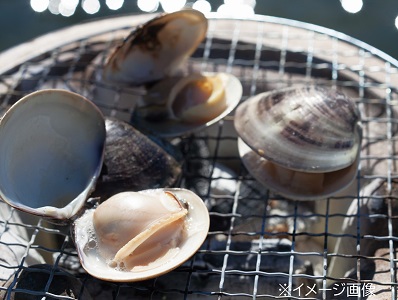 丸宮　桑名産天然地はまぐり8粒　袋入　wc03
