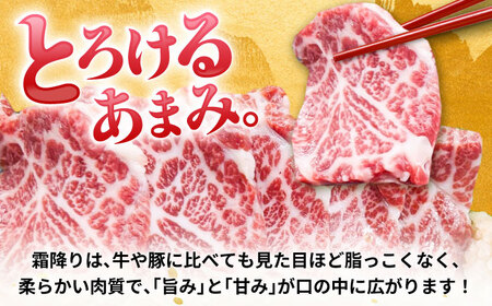 馬刺し 霜降り馬刺し 計約300g AYCN107