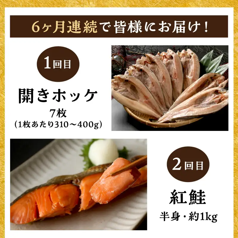 【6ヶ月定期便】海物語～北見からの贈り物～ ( 海鮮 定期便 ホッケ カニ さけ 鮭 蟹 しめ鯖 シメサバ 海鮮丼 貝 ほたて ホタテ つぶ貝 ウニ )【999-0273】