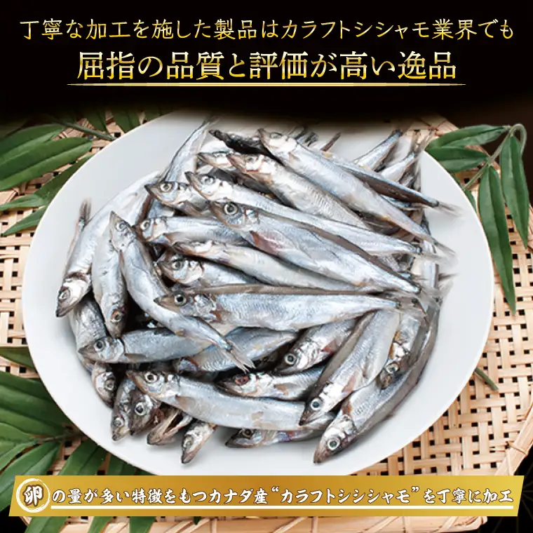 【数量限定！】 子持ち カラフトシシャモ ２kg (500g×4袋) 訳アリ シシャモ ししゃも カラフトししゃも 大洗 規格外 訳あり わけあり 傷_AV010