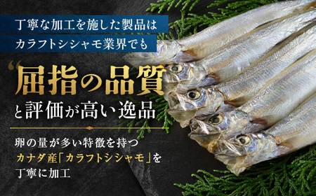 【数量限定！】 子持ち カラフトシシャモ 3kg (500g×6袋) 訳アリ シシャモ ししゃも カラフトししゃも 大洗 規格外 訳あり わけあり 傷_AV011