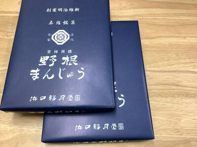 【最速発送】創業明治維新 浜口福月堂の野根まんじゅう 48個入 (24個入り×2箱) 【創業明治維新浜口福月堂】 [ATCT005]　スピード 最短 最速 発送