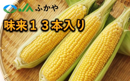 数量限定！JAふかや　朝採りとうもろこし「味来」　13本入り　【11218-0457】