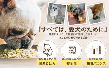 AS-2176 Buddy FOOD バラエティ6種類詰め合わせ 【バディフード】