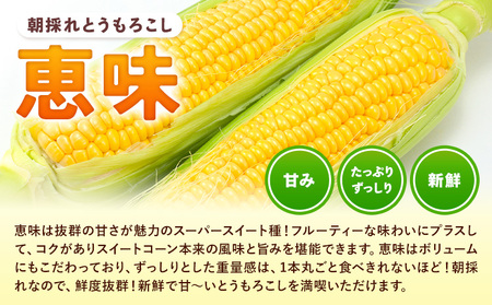 とうもろこし恵味白い恵味約8kg朝採れ《6月下旬-7月下旬頃出荷》トウモロコシ野菜