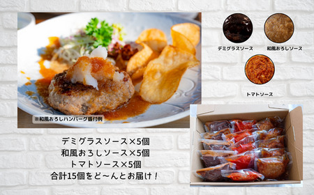 76-97C湯せんで簡単！煮込みハンバーグ食べ比べセット 3種2.5kg以上（170g×15個）