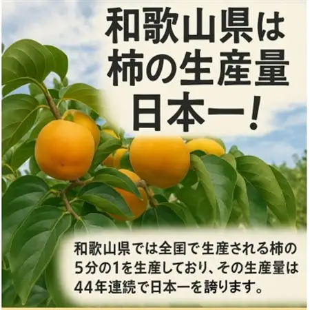 柿【先行受付】柳フルーツ園 たねなし柿 約2kg_果物・フルーツ 柿（カキ）  かき_【1430450】