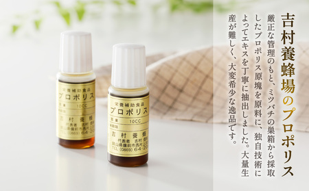 エリナ 蜂蜜プロポリス【10個】新品未開封 令和7年採取 純粋蜂蜜 液体 プロポリス10cc×2本セット | 岡山県備前市