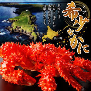 花咲かに2杯セット（1杯550ｇ～650ｇ）_H0001-1171