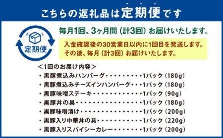 DS-907【毎月3ヶ月 : 定期便】 鹿児島県産 黒豚 簡単調理 おかずセット（レンジ対応） ハンバーグ 豚丼 中華丼 うなぎ 蒲焼 カレー 豚味噌 レンジ 簡単 調理