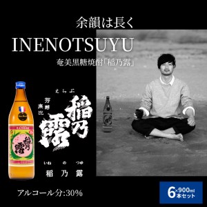 ■ 奄美 黒糖焼酎 稲乃露 30%（ 900ml ）6本セット W025-052u 焼酎 飲料 アルコール