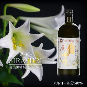 奄美黒糖焼酎 白ゆり40％（720ml）6本セット 化粧箱入り W025-055u 焼酎 飲料 アルコール