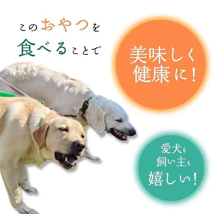 無添加 ドッグフード 鹿骨ジャーキー 150g｜ペット 犬用 おやつ ジャーキー