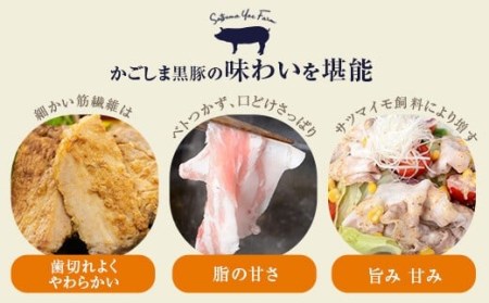 AS-021 かごしま黒豚餃子2箱 合計40個 ぎょうざ ギョーザ 薩摩八重ファーム 工房みかく亭