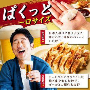 本店鉄なべ　冷凍ぎょうざ48個入り【040-0001】