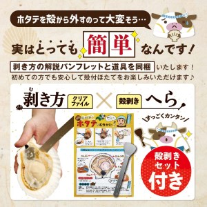 特大活ほたて ３kg相当 7～14枚入り＜朝どり新鮮出荷!＞【KN0000003】ほたて 北海道 別海町