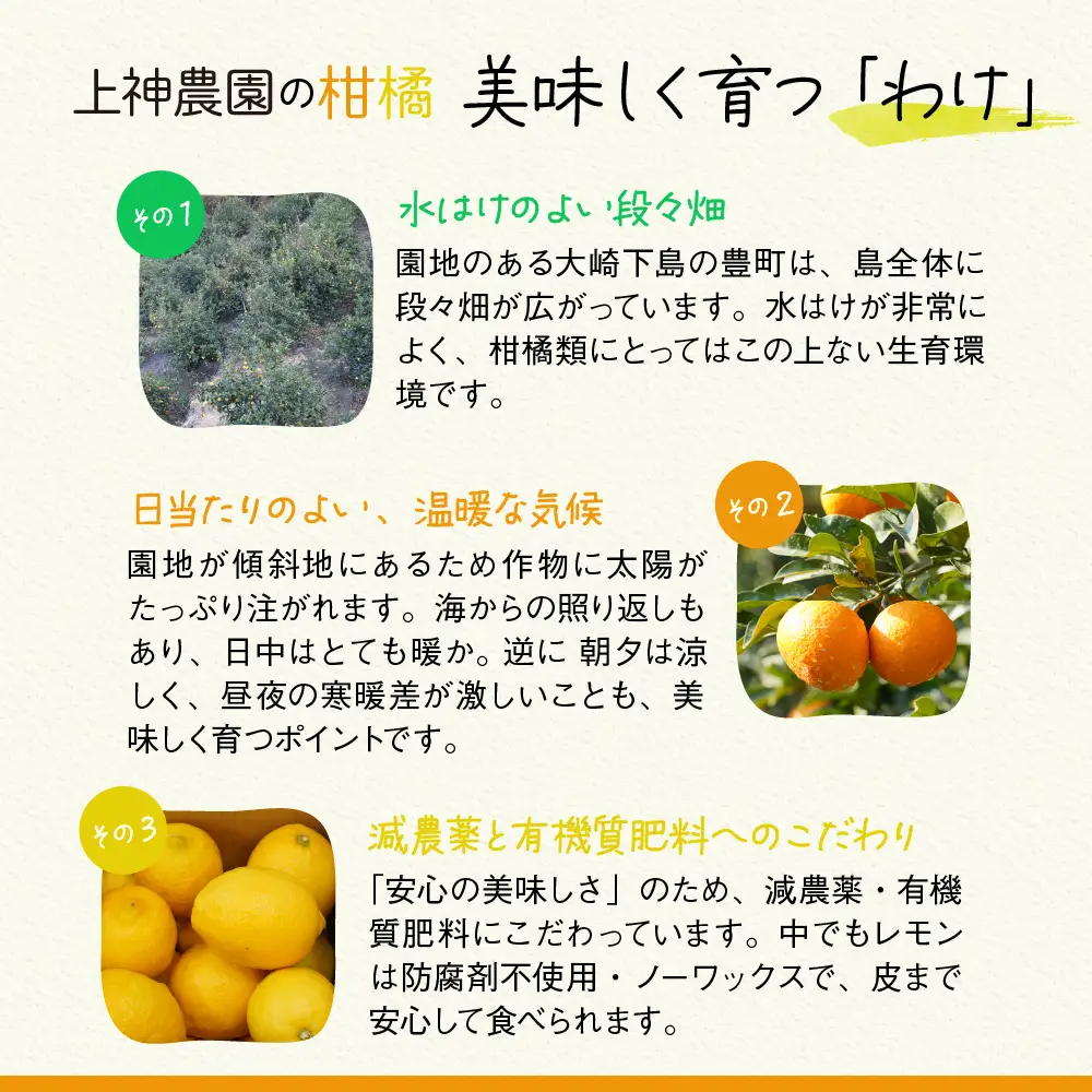 レ・モイスト「レモン花 化粧水＆乳液」（150・100ml）瀬戸内 自然派化粧水 フローラルウォーター使用 広島県 呉市 ku011-002-r