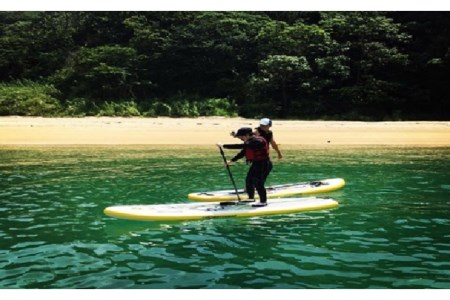 SUP体験 ペアーチケット 1組2名様（180分）海 自然 写真撮影 思い出 初心者 アクティビティ マリンスポーツ ku017-002-r