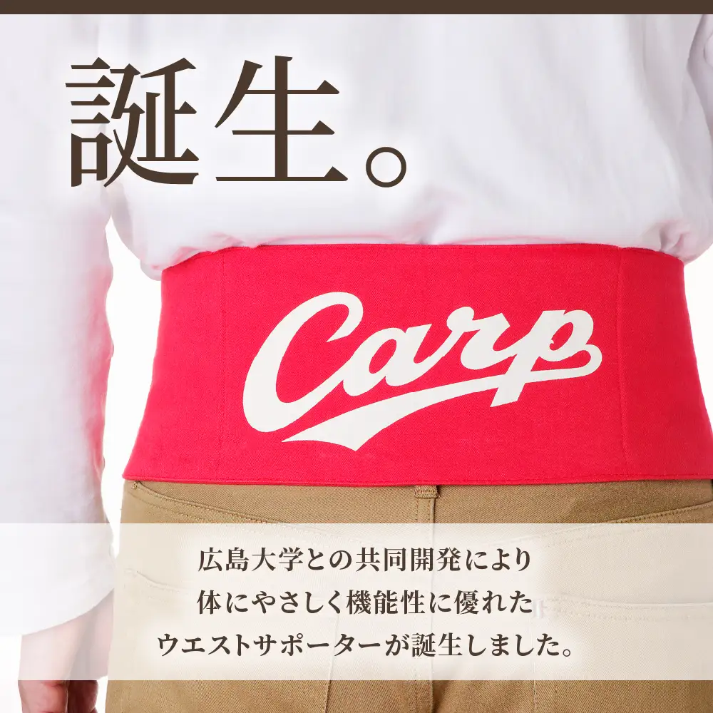 Carpベルト Sサイズ（75～80cm）広島東洋 カープ グッズ プロ野球 簡単装着 ウエストサポーター サポート シェイプベルト ストレッチデニム マジックテープ 軽量 伸縮性 通気性 抜群 ウォーキング スポーツ 国産 ku062-004-s-r