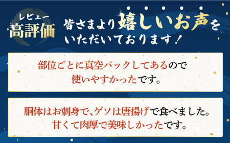 アオリイカ 1kg（2～4杯） [PEP005]  イカ 水いか 肉厚 いか 小分け 下処理済 冷凍 刺身 真空パック