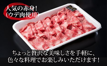 佐賀牛 牛肉切り落とし 650g B170-026 牛肉切り落とし